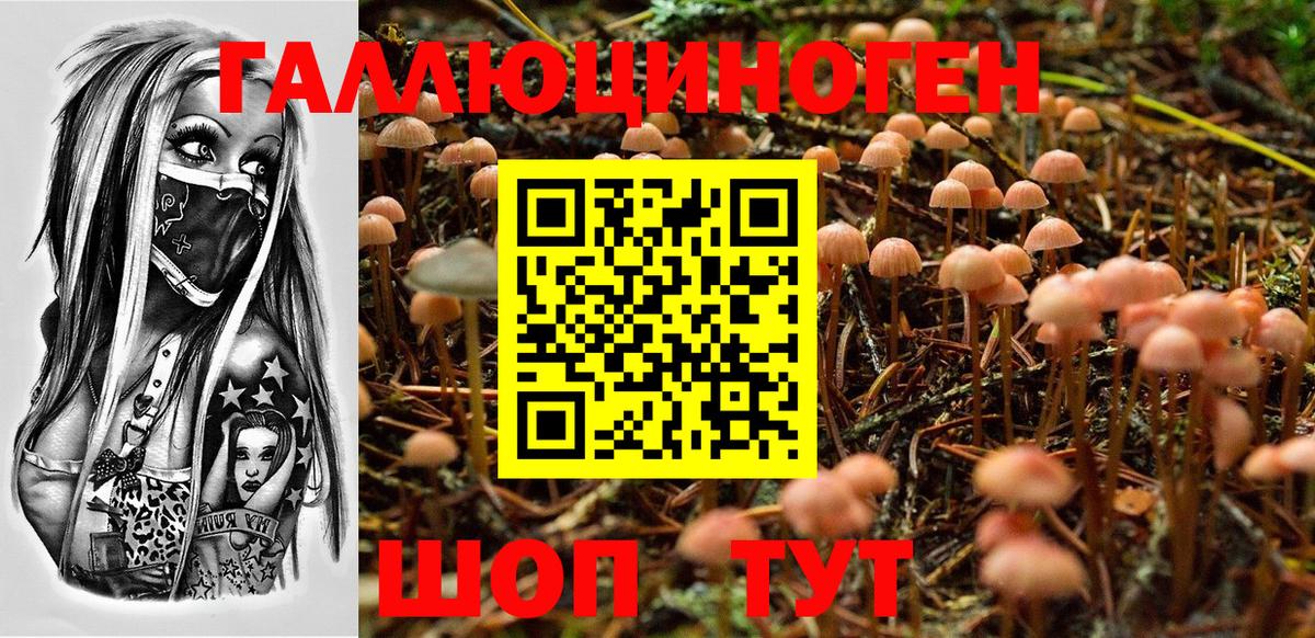 Таганрог  Галлюциногенные грибы GOLDEN TEACHER  Вход с VPN 